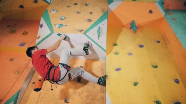 Man hangs on a climbing wall at a gym, bottom view. — Stock Video