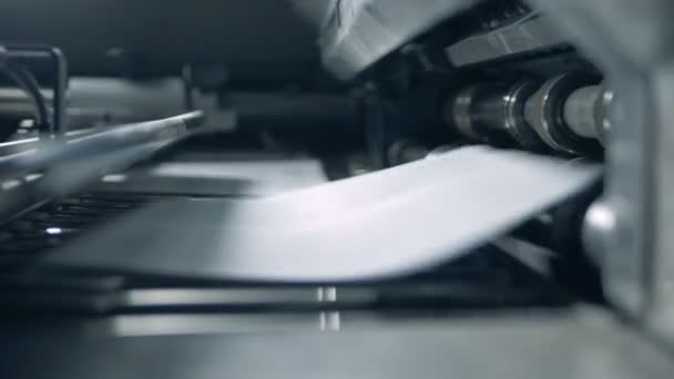 Paper sheets printed at a factory, close up. — Stock Video