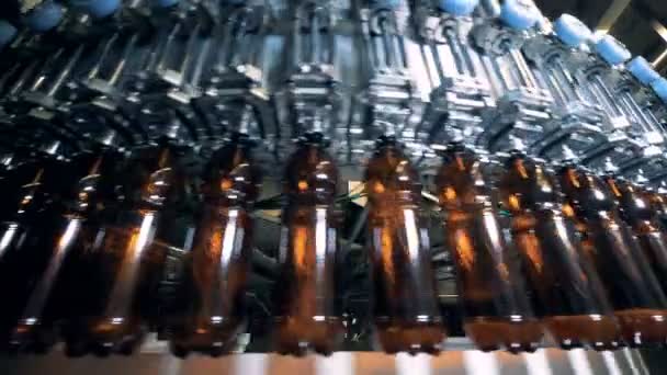Le bottiglie di plastica si muovono intorno al trasportatore e si riempiono di birra — Video Stock