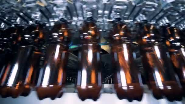 Bottles of beer are getting transported by the conveyor — Stock Video