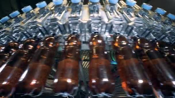 La birra viene versata in bottiglie di plastica mentre si muove — Video Stock