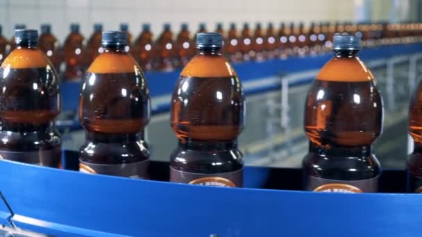 Balené a označené pivo je pomalu pohybující se podél dopravníku — Stock video