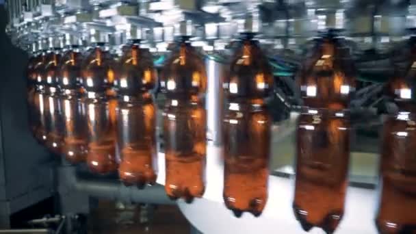 Bier is gieten in roterende plastic flessen uit een machine fabriek — Stockvideo