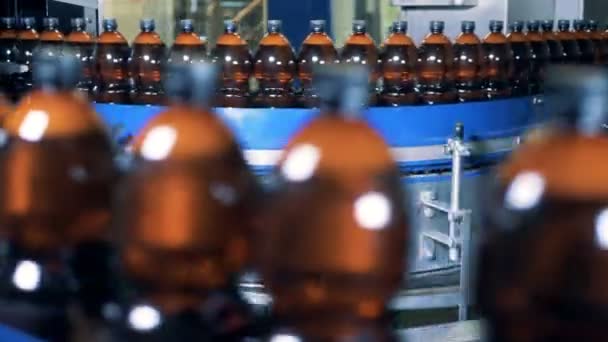 Un montón de botellas de cerveza se mueven a lo largo del transportador industrial — Vídeo de stock