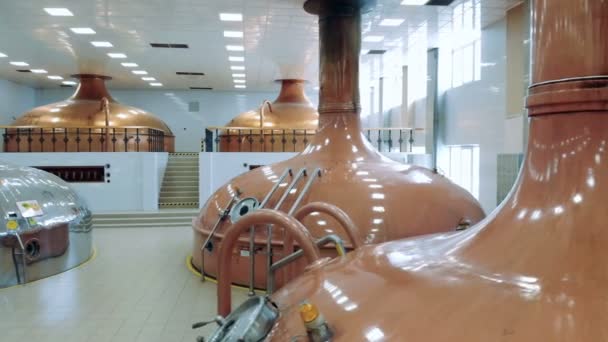 Пивоварний завод з різними каністрами — стокове відео