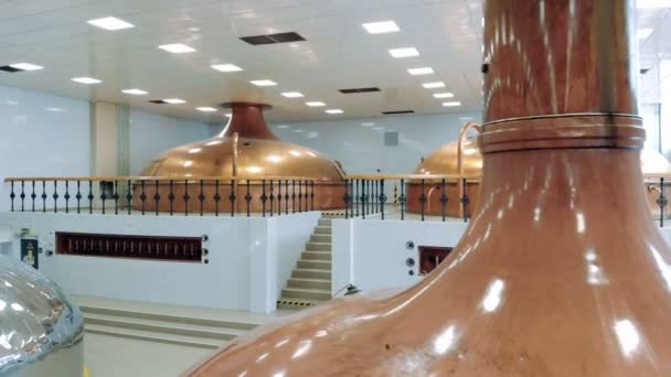 Massive kettles in the beer-producing factory — Stock Video