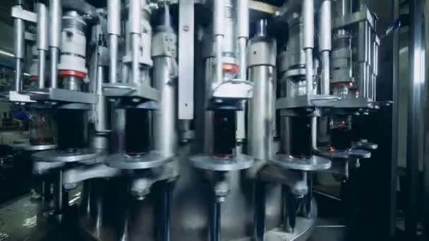 Alcohol production, glass bottles filling. Production of whiskey, Scotch, cognac. — Stock Video