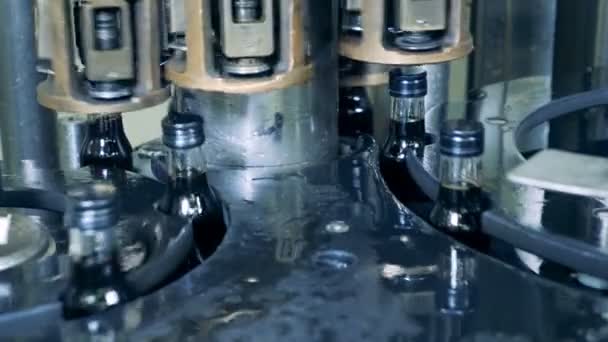 Modern mechanism puts caps on bottles with alcohol. Production of whiskey, Scotch, cognac. — Stock Video