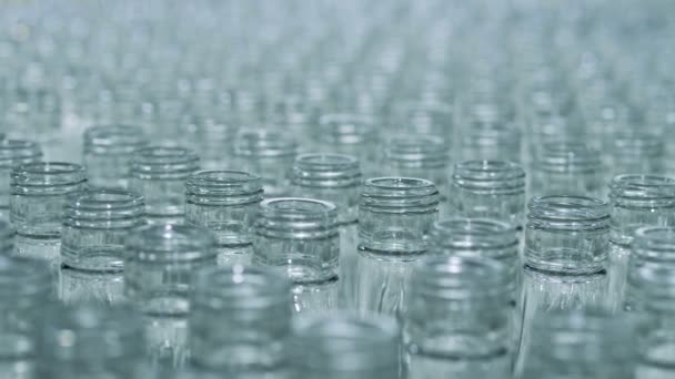 Řada skleněných lahví při výrobě alkoholu. — Stock video
