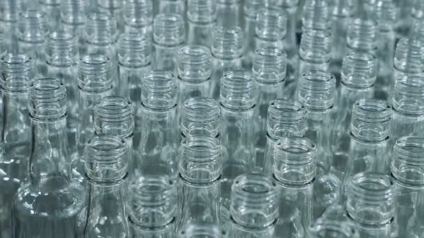 Viele Flaschen für Alkohol, die sich auf einer Linie bewegen, automatisches Förderband. — Stockvideo