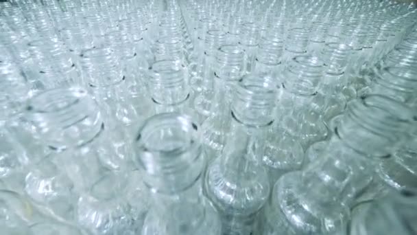 Un montón de botellas de vidrio en un transportador, producción alcohólica . — Vídeos de Stock