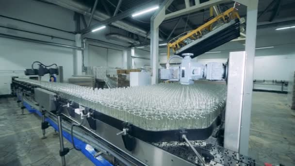 Massor Glasflaskor Ett Transportband Alkoholhaltiga Produktion — Stockvideo