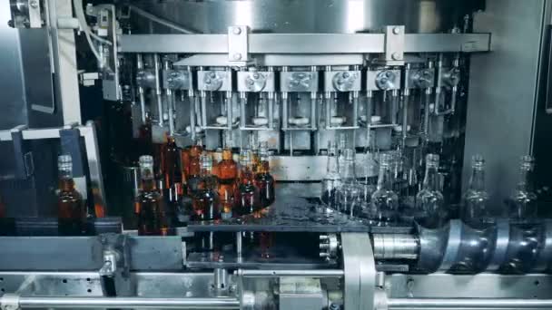 Viski, viski, viski üretimi. Bir fabrikada özel bir makine üzerinde alkol dolu şişeler. — Stok video