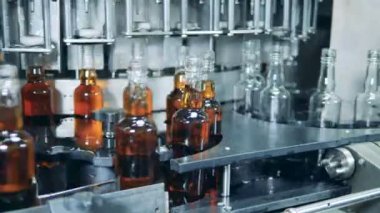 Viski, viski, viski üretimi. Otomatik makine ile alkol bir fabrikada şişe doldurma.