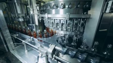 Fabrika makine cam şişe alkol ile otomatik olarak doldurur. Üretim viski, viski, konyak.