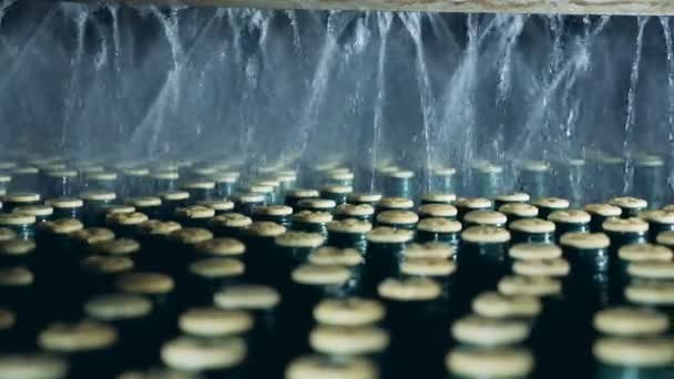 Σφραγισμένα μπουκάλια ψεκάζονται με νερό, αυτοματοποιημένο μηχάνημα. — Αρχείο Βίντεο