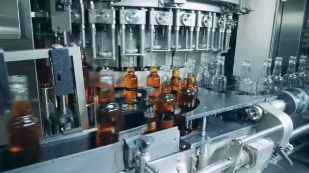 Processen Flaskor Fyller Med Sprit Alkohol Factory Automatiserad Maskin — Stockvideo