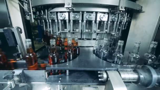 Muitas garrafas cheias de álcool em uma máquina de fábrica. Uísque, uísque, uísque, produção de bourbon . — Vídeo de Stock