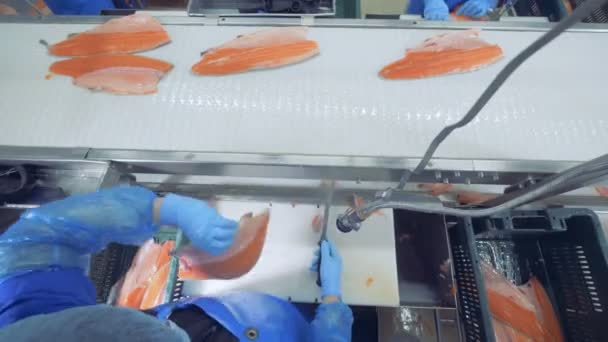 Una persona corta las aletas de un pez, vista superior . — Vídeos de Stock