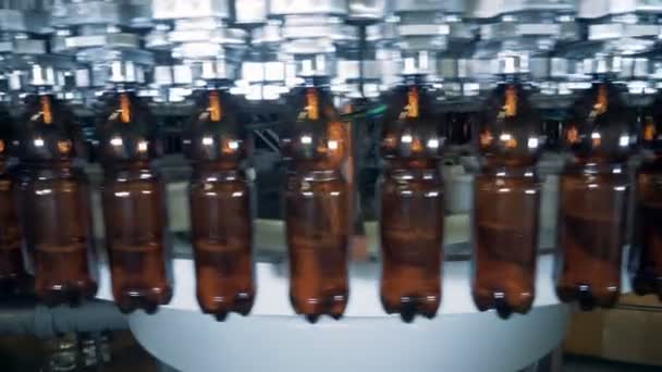 Garrafas de plástico marrom estão ficando cheios de cerveja enquanto se move ao redor — Vídeo de Stock