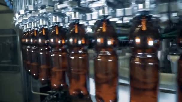 Круглый транспортер перевозит коричневые бутылки с пивом — стоковое видео
