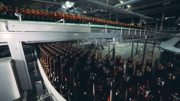 Üveg palackok folyik egy sörgyár vonal, zár-megjelöl. — Stock videók