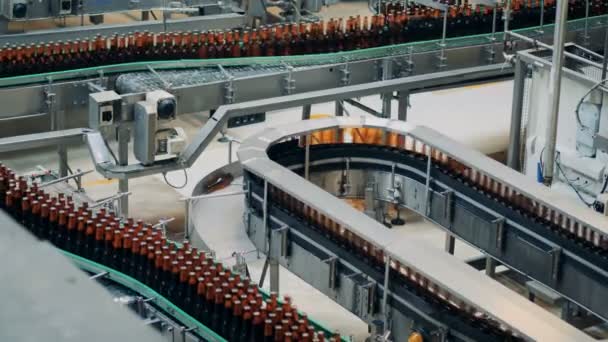 Bottiglie intere con birra sui trasportatori della birreria, vista dall'alto . — Video Stock