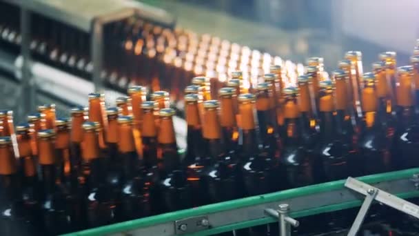 Brouwerij apparatuur bewegende flessen met bier, close-up. — Stockvideo