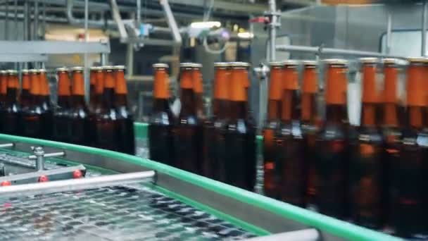 Bottiglie di birra sigillate che vanno su un trasportatore, da vicino . — Video Stock