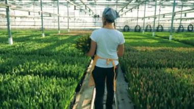 Lale ile sera yürürken bir kadının arka görünüm