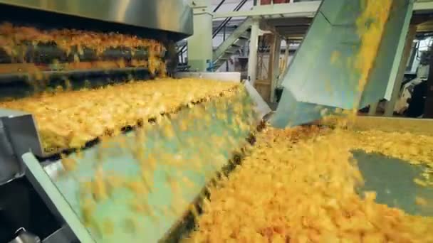 Mozgó burgonya chips, egy különleges létesítmény gyár szállítószalag. — Stock videók