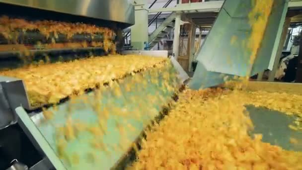 Factory conveyor moving potato crisps at a special facility. — Stock Video