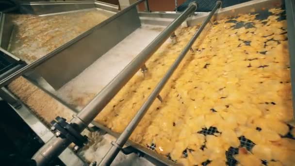 Potatischips stekt på en modern transportband vid en matfabriken. — Stockvideo