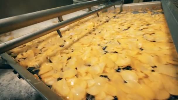 Les frites se déplacent sur une ligne automatisée dans une usine alimentaire . — Video