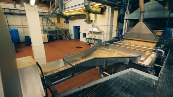 Processo de batatas fritas fritando em um transportador moderno em uma instalação de produção de alimentos . — Vídeo de Stock