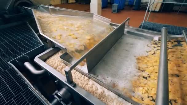 Заводське обладнання для смаження картопляних чіпсів у спеціальній машині . — стокове відео