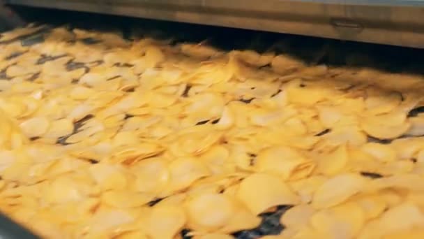 Patates cips yağda kızartma sonra fabrika satırında taşıma. — Stok video