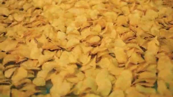 Montones de chips preparados en un transportador en una fábrica de alimentos . — Vídeo de stock