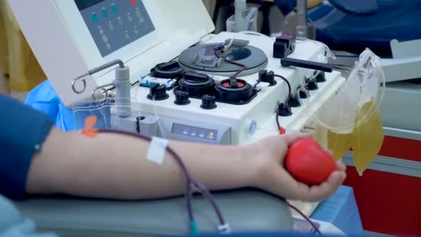 Transfusie machine verzamelt bloedplasma van een donor. — Stockvideo