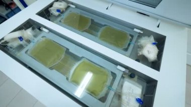 Bir laboratuvar makine, kan nakli Merkezi plazmada ile plastik torbalar.
