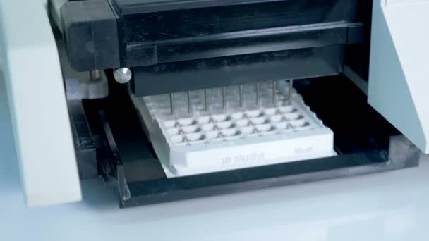 Samples testing in a laboratory, analyzer working. — Stock Video