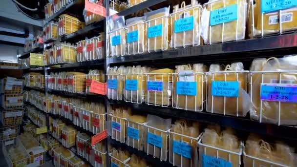 Muchas bolsas con plasma colocadas en bastidores en un laboratorio . — Vídeos de Stock