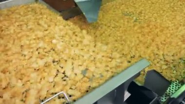 Kızarmış patates cips gıda tesisi sanayi konveyör üzerinden düşen.