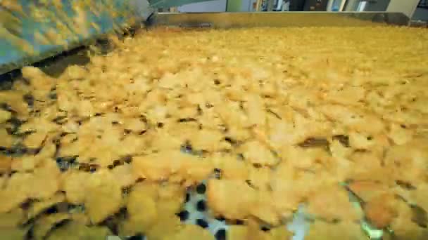 Un sacco di patatine gialle che si muovono su una linea di fabbrica, attrezzature automatiche di fabbrica nel lavoro . — Video Stock