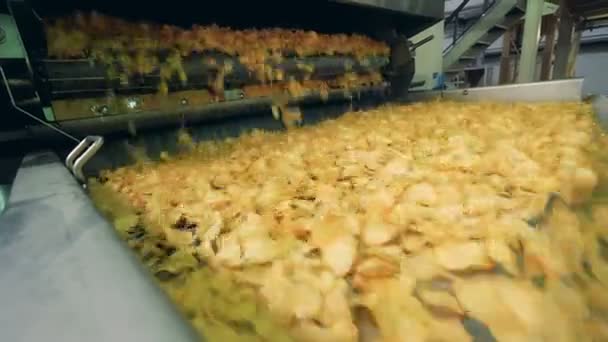 Πατατάκια σε ένα μεταφορέα εργοστάσιο, εξοπλισμός για την παραγωγή τροφίμων λειτουργεί. — Αρχείο Βίντεο
