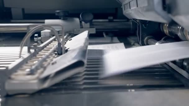 Papieren vellen krijgen op een transportband typografie, close-up. — Stockvideo