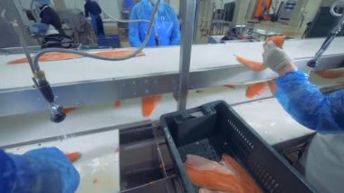 Somon parçaları fabrika çalışanları tarafından işlenir
