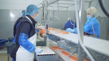 Balık fabrikası. Alabalık filetosu fabrika personeli tarafından işlenir