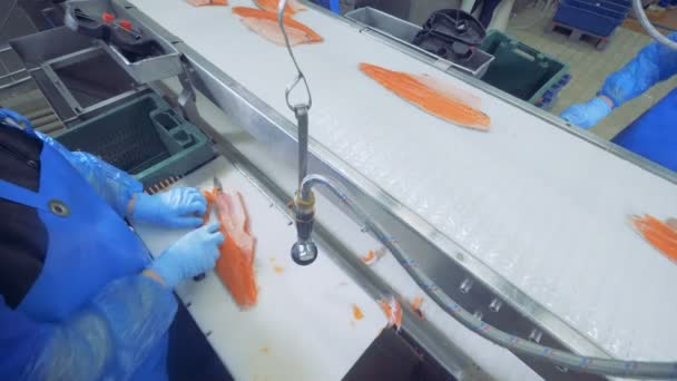 Werknemer is het afsnijden van extra stukken van een zalm — Stockvideo