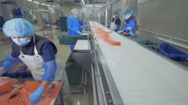 Taze balık mayo kemer üzerine, yeniden konumlandırma
